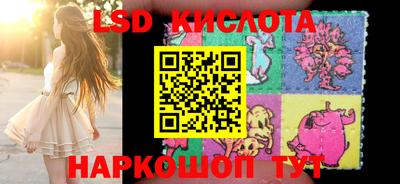 PSILOCYBIN Новозыбков