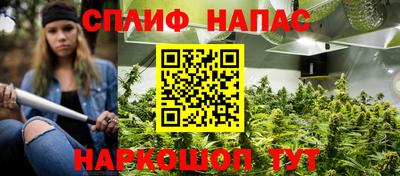 прущие крисы Новокубанск