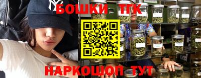 прущие крисы Новокубанск
