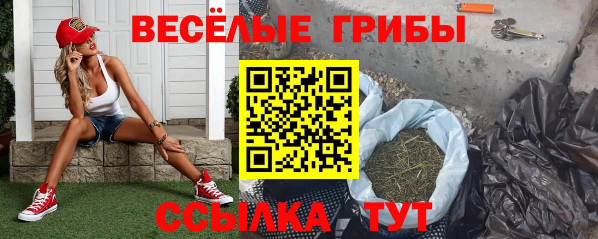 Галлюциногенные грибы Psilocybe  Галлюциногенные грибы мухоморы  Вход с VPN  Сочи 